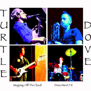 Turtle Dove Blues Band